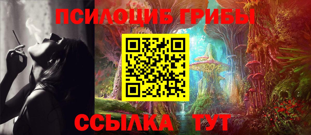 цены наркотик  Псилоцибиновые грибы Psilocybe  Вход с VPN  Сургут  Псилоцибиновые грибы ЛСД 