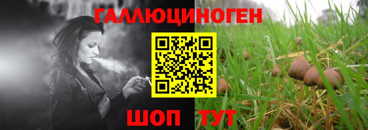 Галлюциногенные грибы мухоморы Сургут